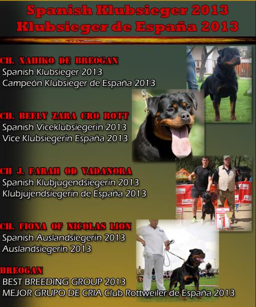 Rottweiler. Rottweiler.