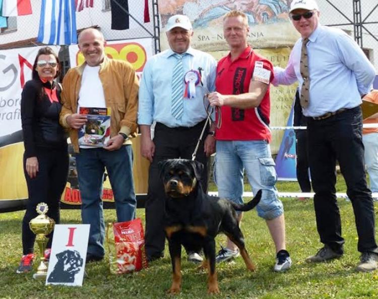 Rottweiler.  Ch. DIXI MIRACLE ROTT.