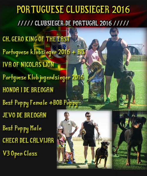 Rottweiler. CH. GERO KING OF THE EAST. PORTUGUESE CLUBSIEGER 2016   B.I.S..