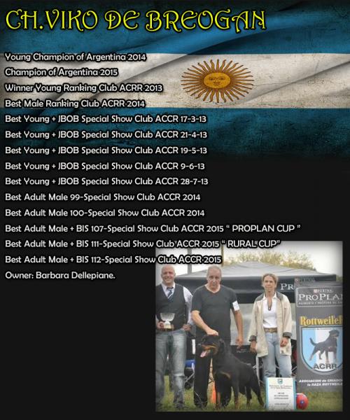 Resultados de Viko de Breogan en Argentina. Rottweiler. Viko de Breogan.