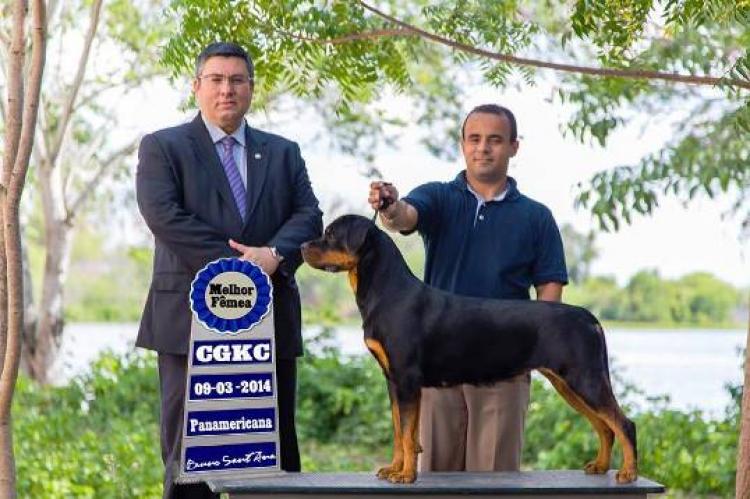 Rottweiler. Ch. Xax De Breogan.