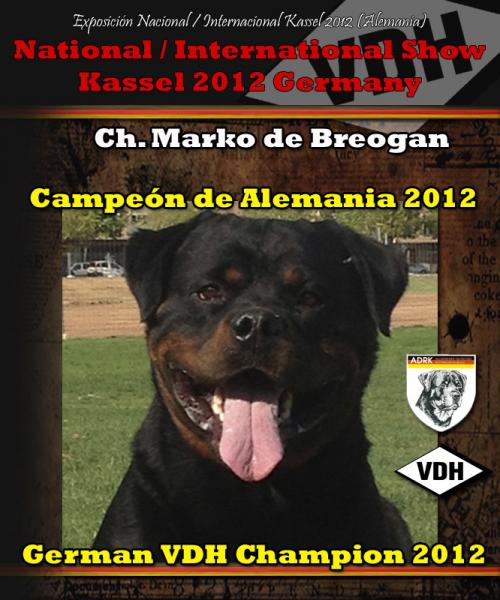 Rottweiler. Ch. Marko de Breogan. Rottweiler. Ch. Marko de Breogan.