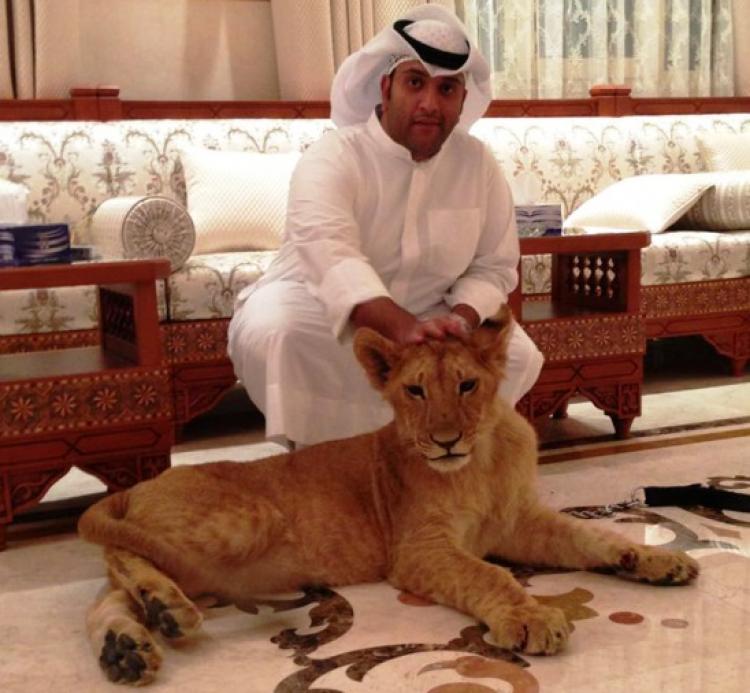 Famosos con BREOGAN Rottweiler. Consul de Breogan Abdulaziz Al Mehri (Kuwait).