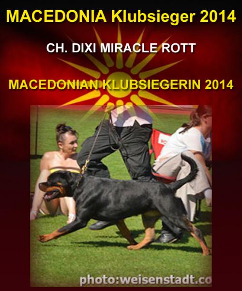 Rottweiler. Ch. Dixi Miracle Rott.