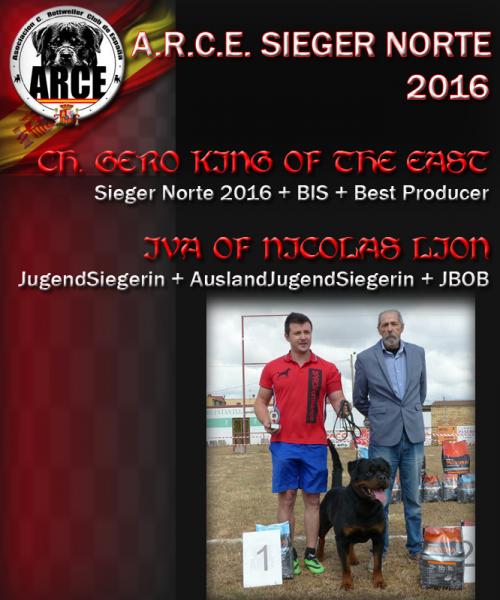 Rottweiler. GERO KING OF THE EAST. B.I.S.   Best Producer Sieger ARCE Norte 16.
