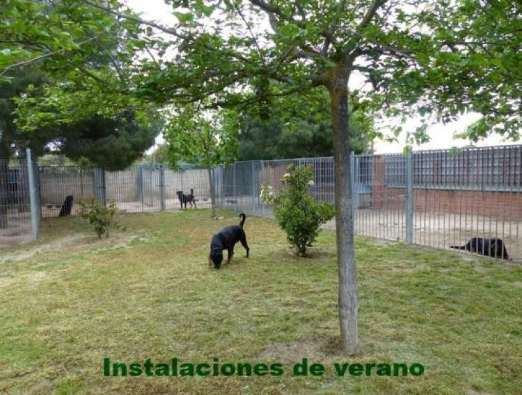 IMPORTANTE - NUESTRAS INSTALACIONES Rottweiler.