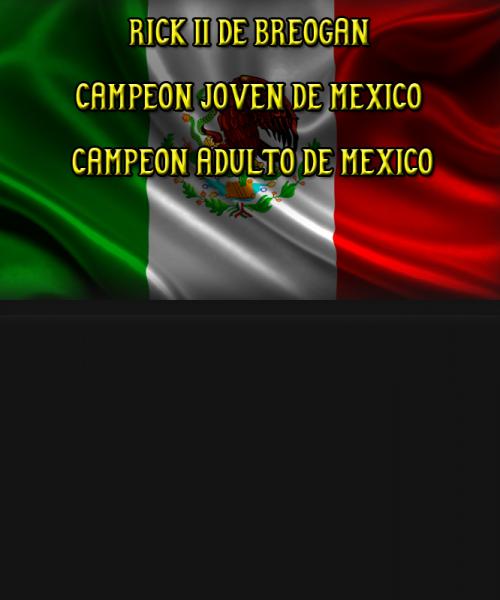 Rottweiler. Ch. Rick II de Breogan Jr. Ch. y Ch. de México. Rottweiler. Ch. Rick II de Breogan Jr. Ch. y Ch. de México.