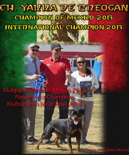 Rottweiler. Ch. Yakka de Breogan. Rottweiler. Ch. Yakka de Breogan.