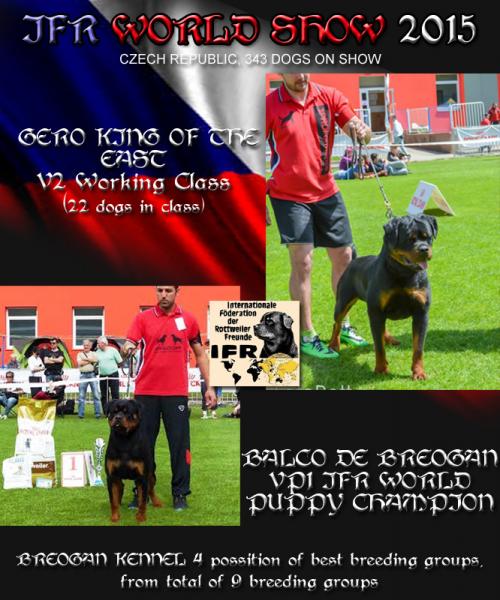 Rottweiler. Rottweiler.