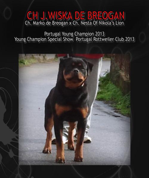 Rottweiler. Jr.Ch. Wiska de Breogan. Rottweiler. Jr.Ch. Wiska de Breogan.