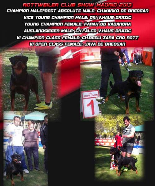 Rottweiler. Rottweiler.