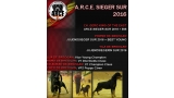 Rottweiler. CH. GERO KING OF THE EAST. ARCE Sieger 2016   B.I.S..