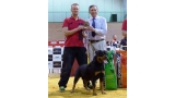 Rottweiler.  Ch. DIXI MIRACLE ROTT.