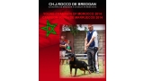 Rottweiler. Ch. Rocco de Breogan. Rottweiler. Ch. Rocco de Breogan.