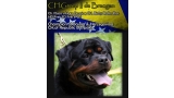 Rottweiler. Ch. Greep II de Breogan.
