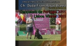 Rottweiler. Ch. Duda From Royal Breed. Rottweiler. Ch. Duda From Royal Breed.
