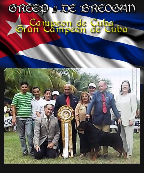 Rottweiler. Ch. Greep II de Breogan Ch. de Cuba y Gran Ch. de Cuba. Rottweiler. Ch. Greep II de Breogan Ch. de Cuba y Gran Ch. de Cuba.