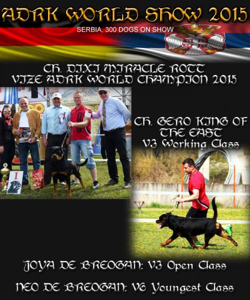 Rottweiler. Rottweiler.