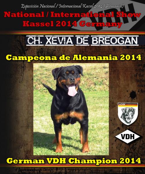 Rottweiler. Rottweiler.