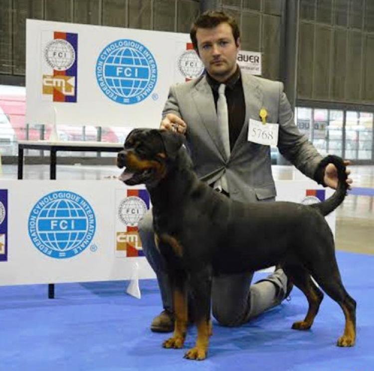 Rottweiler.  Ch. Farah Od Vadanora.