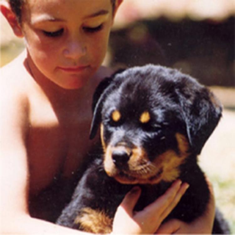 Rottweiler. Cachorros disponibles de Breogan.
