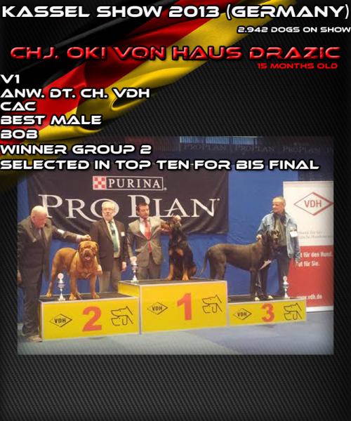 Rottweiler.  Ch. Oki Vom Haus Drazic. Rottweiler.  Ch. Oki Vom Haus Drazic.