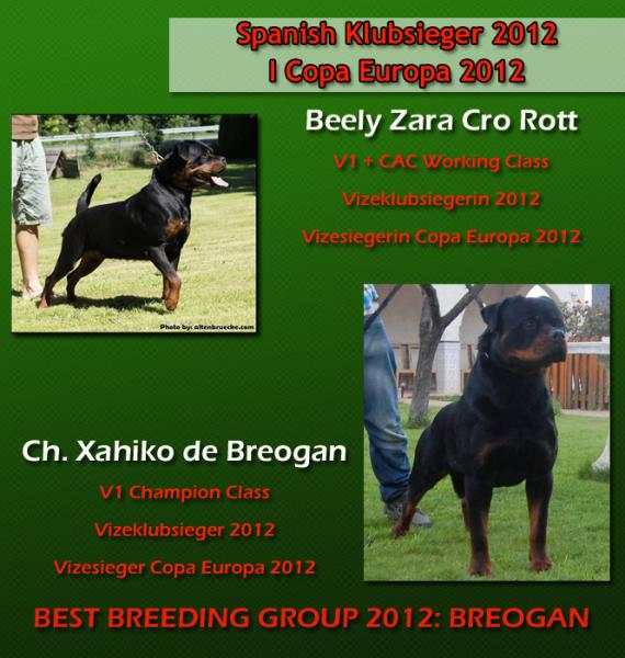 Rottweiler. Rottweiler.