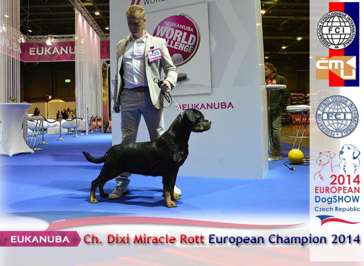 Rottweiler.  Ch. DIXI MIRACLE ROTT.