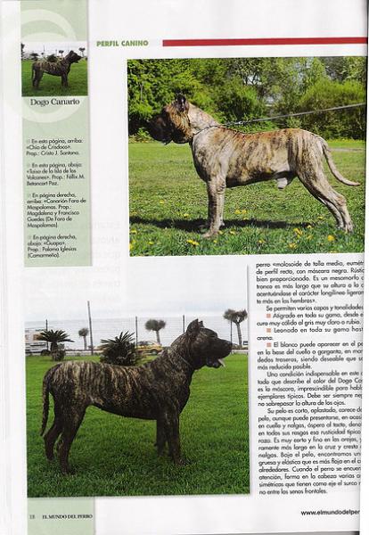 Dogo Canario. Pagina 18.