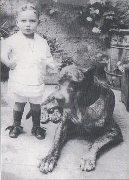 Dogo Canario. Fotos Historicas.