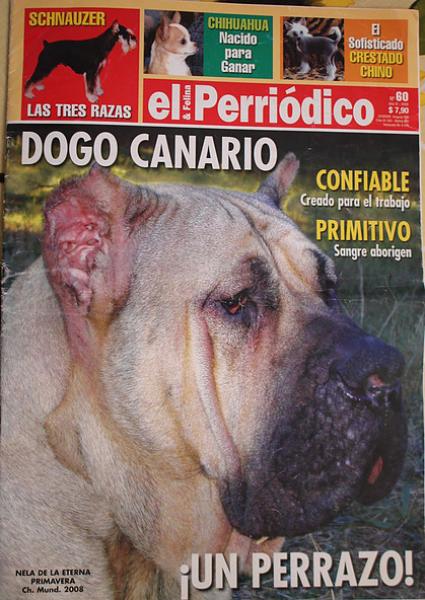 Dogo Canario. Portada El Perriodico.
