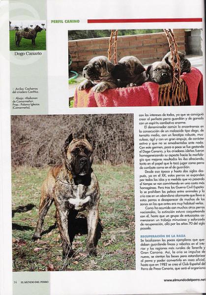 Dogo Canario. Pagina 14. Dogo Canario. Pagina 14.