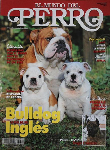 Dogo Canario. Portada.