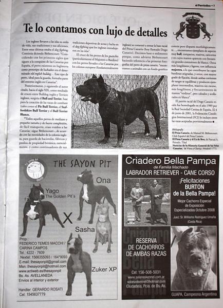 Dogo Canario. Pagina 7.