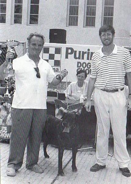 Dogo Canario. Nayra.