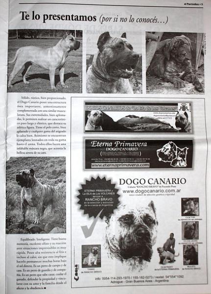 Dogo Canario. Pagina 5.