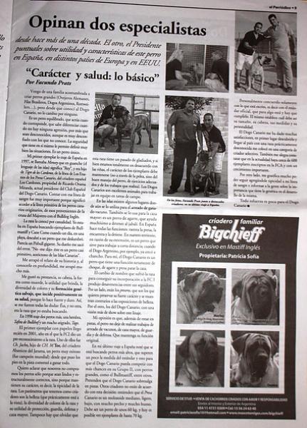 Dogo Canario. Pagina 1.