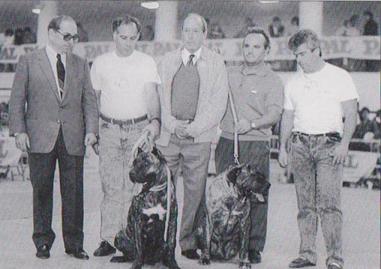 Dogo Canario. Fotos Historicas. Presentación Oficial de la Raza.