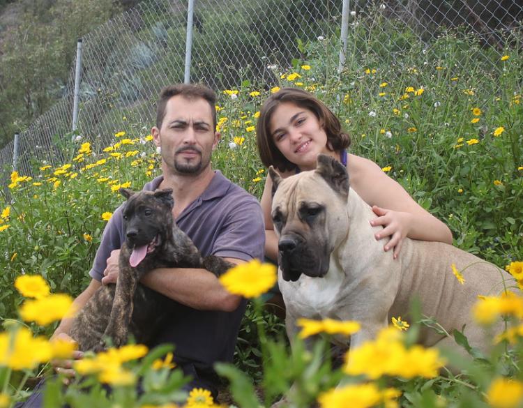 Dogo Canario. La Isla de los Volcanes.