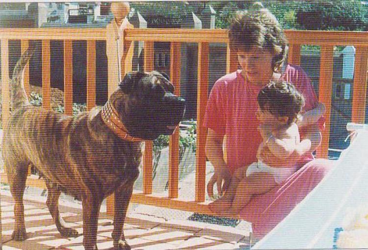 Dogo Canario. Tana. Dogo Canario. Tana.