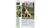 Dogo Canario. Pagina 22.