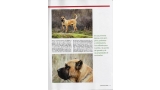 Dogo Canario. Pagina 13.