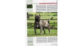 Dogo Canario. Pagina 20.