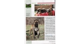 Dogo Canario. Pagina 14.