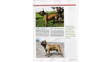 Dogo Canario. Pagina 17.
