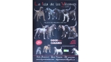 Dogo Canario. Pagina 15.