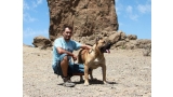 Dogo Canario. Felix Manuel Betancort.