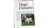 Dogo Canario. Pagina Inicial.