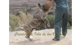 Dogo Canario. Faina De La Isla De Los Volcanes. Prueba de Caracter.