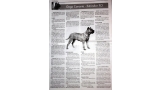 Dogo Canario. Pagina 10.